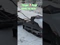🏁Tinger Dog 🐶 ready to race🏁
