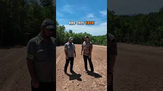 Real life testimonial! Land clearing marketing! #landclearinggrowth