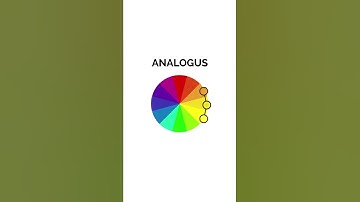 Do you struggle to understand the color wheel? #colortheory #graphicdesign #illustration