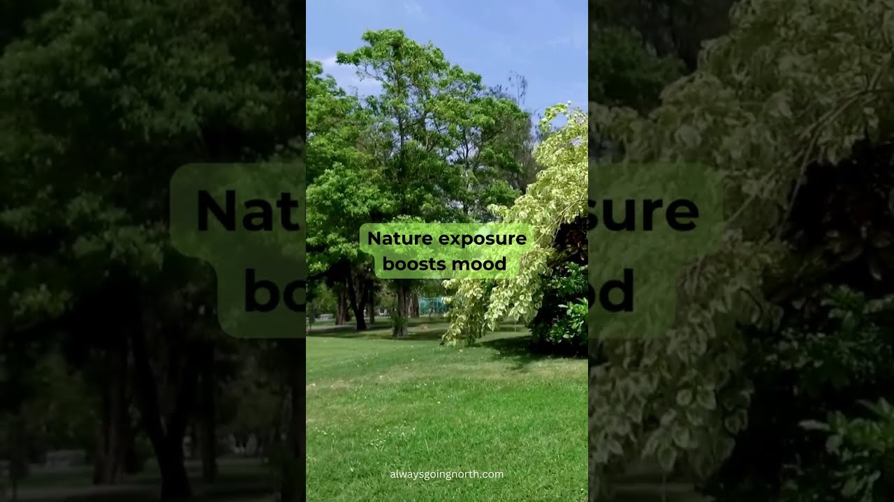 Feeling Down Try Nature Therapy Youtubeshort Selfhelp Mindfulness Naturetherapy