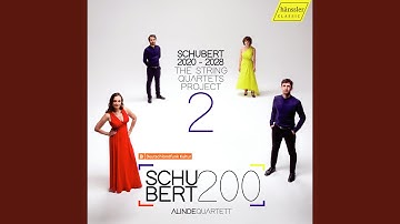 String Quartet No. 6 in D Major, D. 74: III. Menuetto. Allegro