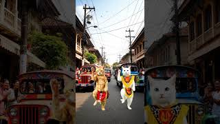 Can Cats Keep Up With the Rhythm of the Mountains? #CulturalRemix #PinoyPride