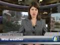 Delaware Online News Video: Storm knocks down trees