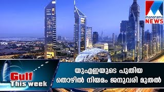 New UAE labour law come into effect from Jan 1, 2016 | Manorama News