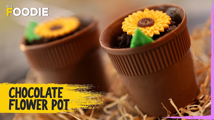 Chocolate Flower Pot Recipe | How to Make Chocolate Flower Pot | The Foodie
