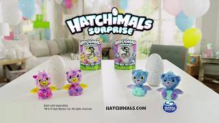 Hatchimals Surprise (Spin Master) TV Commercial - 2017
Hatchimals Surprise (Spin Master) - 2017
Release Dates and Regional Names:
- Worldwide: October 6, 2017 (Simultaneous global rollout on Hatchimals Day)
Platforms:
Toy Store Interactive Robotic Aisles / Specialty Gift Shops / Playroom Floors
Publisher:
Spin Master Ltd.
Developer:
Spin Master Robotics Innovation Lab
Type:
Electronic Interactive Artificial Intelligence Plush Creature Toy
Media:
Motorized Plastic Hatching Egg with Dual Interactive Robotics
Description and Experience:
Hatchimals Surprise is an interactive robotic plush toy line launched by Spin Master in 2017. Serving as the sequel to the original breakout Hatchimals toy, this generation features a major twist: every single egg houses a pair of twin creatures. The gameplay splits into two phases. First, children nurture a large, speckled plastic egg by rubbing and tapping the shell to communicate with the twins inside. When the twins reach maturity, they physically peck through the plastic egg wall using an internal motorized drive gear. Once born, the twins—available as species like Giraven or Peacat—develop independently through distinct life stages and interact dynamically with each other via integrated sound and movement sensors.
Key Features:
- Dual-creature mechanical configuration introducing twin interactive robots inside one egg
- Immersive motorized hatching sequence where the toy actively breaks its outer shell to emerge
- Phase-shifting behavioral AI programming that unlocks new games and vocabulary across life stages
- Dynamic twin-to-twin communication protocols allowing the independent plushies to chat and sing together
- Integrated LED light-up eyes communicating complex emotional statuses and user prompts
Technical Specifications:
- Heavy-duty impact-shattering plastic outer egg shell engineered for controlled physical fracture
- Premium soft-goods synthetic plush fabric covering an internal high-impact polystyrene robotic frame
- Dual distinct motorized architectures separating wheel-base driving joints from neck pivots
- Power supply unit running on 2 AA and 3 LR44 consumer batteries to execute electronic actions
Advertising Description (North America):
For the first time ever, you can hatch TWINS! Introducing Hatchimals Surprise! Who will you hatch? Hold, rub, and play with your speckled egg and youll hear sweet sounds from the creatures inside! When its time to hatch, youll see glowing eyes and watch them physically peck their way out of the egg! Discover the Giraven twins or the Peacat twins! One twin loves to move and dance, while the other twin copies what you say and sings along! Teach them to walk, talk, and play games as they grow. Hatch a whole new world of fun with Hatchimals Surprise! Batteries included, from Spin Master.
Additional Details:
- Age Range: Recommended with intermediate nurturing challenges for children ages 5 years old and up
- Best for: Virtual pet enthusiasts, high-tech robotics collectors, and fans of interactive unboxing toys
Historical Context:
Following the historic global supply shortages of the original Hatchimals line during the 2016 holidays, Spin Master engineered the 2017 Hatchimals Surprise rollout to act as their defining retail flagship event. The product was shrouded in complete corporate secrecy until its official reveal on the designated marketing holiday, Hatchimals Day. The line capitalized heavily on the massive late-2010s cultural obsession with blind-box unboxing surprises, doubling the play value within a single high-tier package price point. Backed by highly visible international television commercial blocks and major digital unboxing activations, the line successfully solidified Hatchimals as a permanent staple of modern youth pop culture.
Did You Know?
- The plastic egg material is constructed from a custom, brittle polymer blend that leaves zero dangerous sharp edge fragments behind when the robots fracture it.
- If you leave the twins alone on the floor together for an extended period, they will automatically sync up via infrared sensors and perform a localized hidden duet song.
- The Peacat twins feature stylized, high-contrast iridescent wing panels to visually differentiate them from the fur-covered arms of the Giraven variants.
- While the hatching phase requires roughly 20 to 30 minutes of continuous human interaction, parents can speed up the process by holding the egg upside down for a specific time code.
- Finding an unhatched, factory-sealed box from this initial 2017 production run is increasingly rare, as most consumers instantly activated the electronic hatching loop upon purchase. 🪺🦉🐱✨ Hatchimals Surprise (Spin Master) TV Commercial - 2017