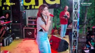 FULL ALBUM D'RADJA PASTI AJA TEMUKANGEN MAKELAR ONLINE DI PLAJAN PAKISAJI JEPARA