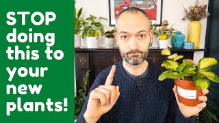 What NOT To Do With Your New Houseplant  | 9 New Houseplant Care Tips