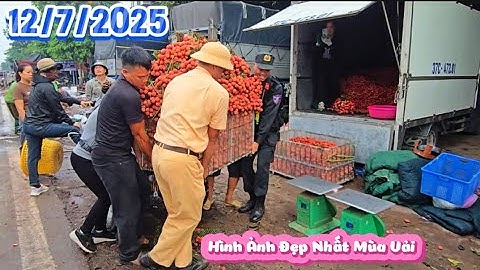 HÌNH ẢNH ĐẸP NHẤT MÙA VẢI THIỀU LỤC NGẠN VÀ GIÁ VẢI TẠI KHU CHỢ VẢI LỚN NHẤT VIỆT NAM