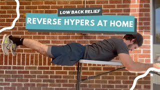 How Reverse Hyperextensions SAVED My Lower Back