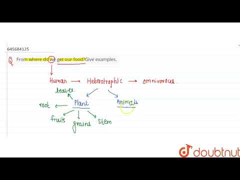 From where do we get our food?Give examples CLASS 6 FOOD-WHERE DOES IT COME FROM BIOLOGY