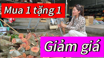 Mua 1 tặng thêm 1 + giảm giá sốc mẫu búa bổ củi hàng cao cấp chuẩn sịn thép nhíp hàng đặt 