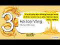 Bạn có đang lao vào mua ở đỉnh như đám đông và đối mặt rủi ro lớn nhất?