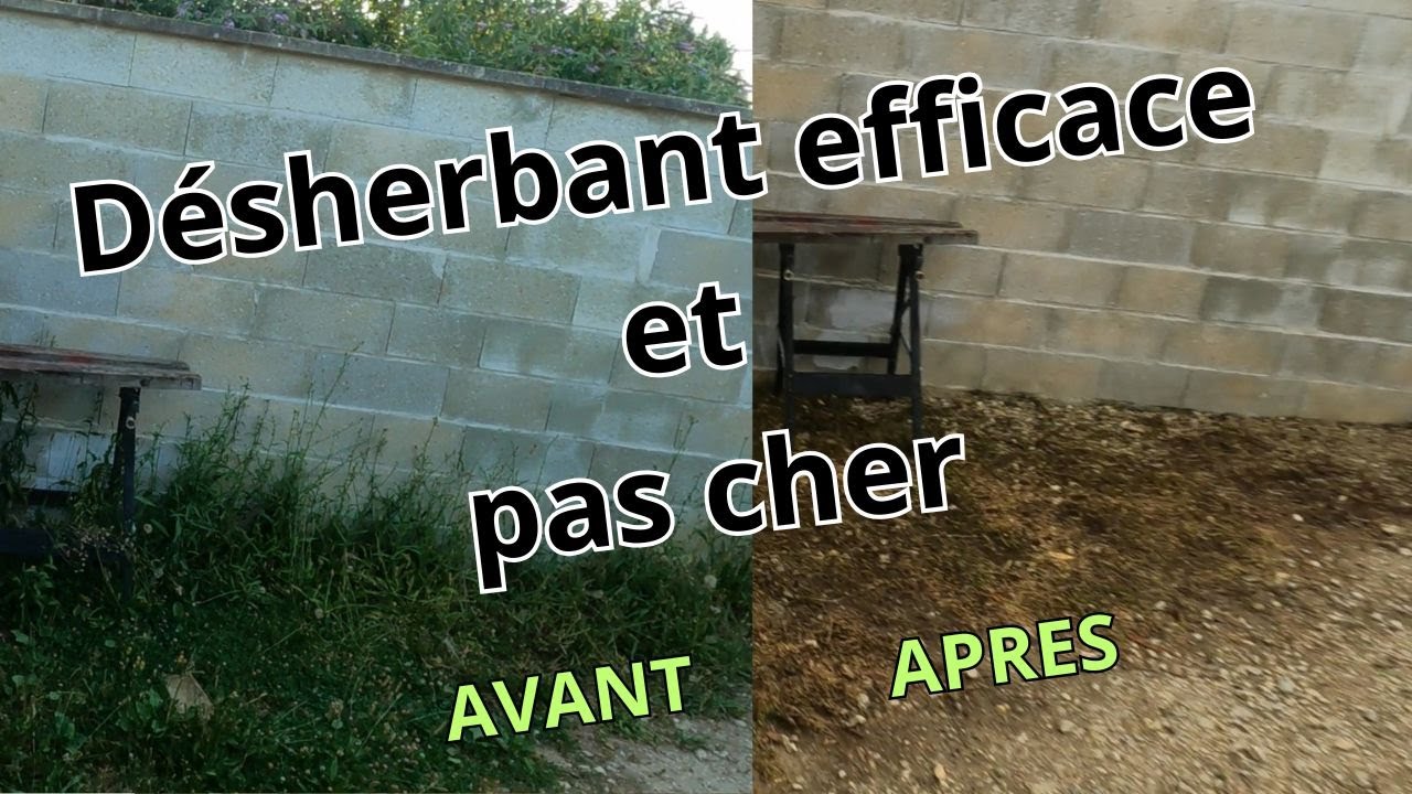 Désherbant efficace et pas cher