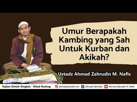 Video: Berapa umur daging kambing?