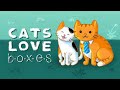 猫を箱に乗せてパズルを解け『Cats Love Boxes』DEMO