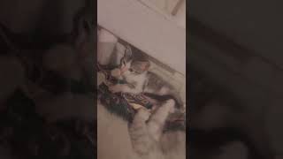 как вам? #остров