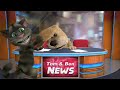 Talking Tom & Ben Newshttps://o7n.co/News