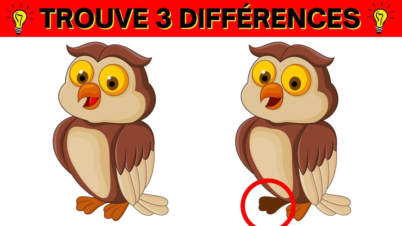 trouve 3 différences : (ÉNIGMES VISUELLES) mini jeu - quizz