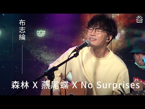 【谷Live Studio Live】布志綸《森林 X 燕尾蝶 X No Surprises》