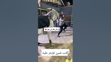 لا تحسبن الله غافلاً عما يعمل الظالمون تلاوه خاشعه للشيخ عبد الرحمن مسعد #خيل_عربي_اصيل #خيل #duet
