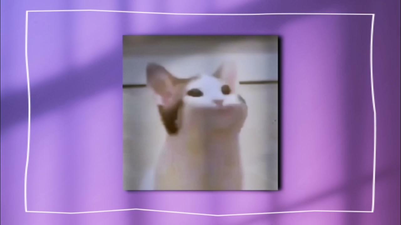 Don t go kitty kitty. Don t go kitty kitty. Китти долл. Go kitty go! animation. Go kitty go обложка.