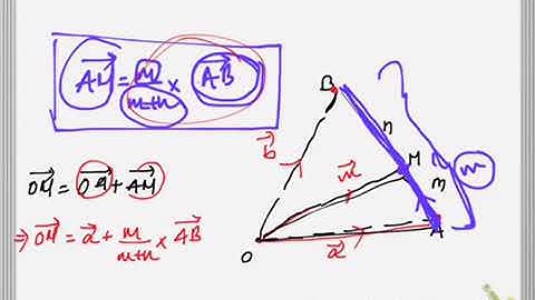 Section internal division Vector theorem proof question for SEE and grade 10 explained!
