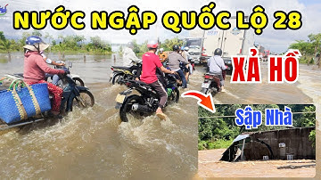 QL28 bị ngập sâu: Nhà dân nứt vách giữa dòng nước lớn từ Sông Quao 🏝