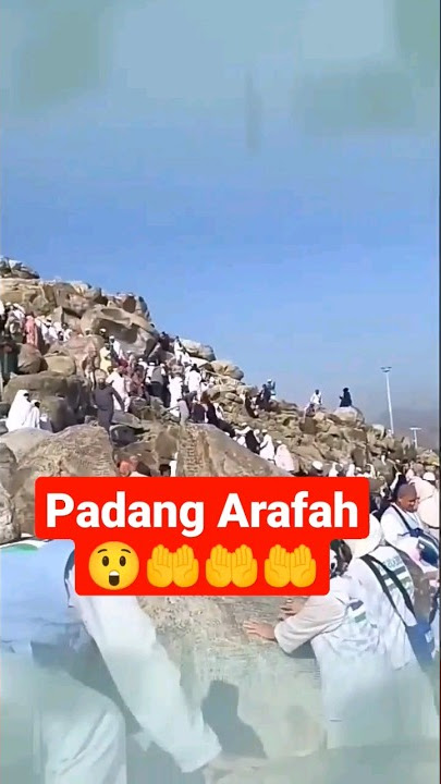 Padang Arafah 😲🤲🤲 #shorts #padang #arafat