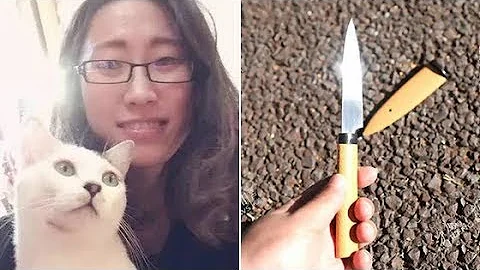 江歌案庭審第二天 江歌被害前8分鐘與母親聊天記錄公布（完整版） - 天天要聞