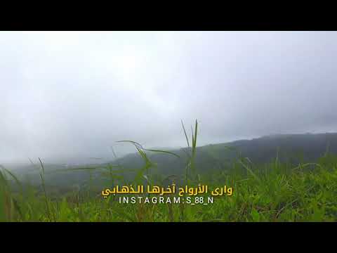 ميحد حمد أرى الدنيا