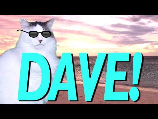 HAPPY BIRTHDAY DAVE! - EPIC CAT Happy Birthday Song