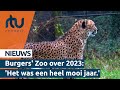 Burgers zoo kijkt terug op succesvol 2023  rtv connect
