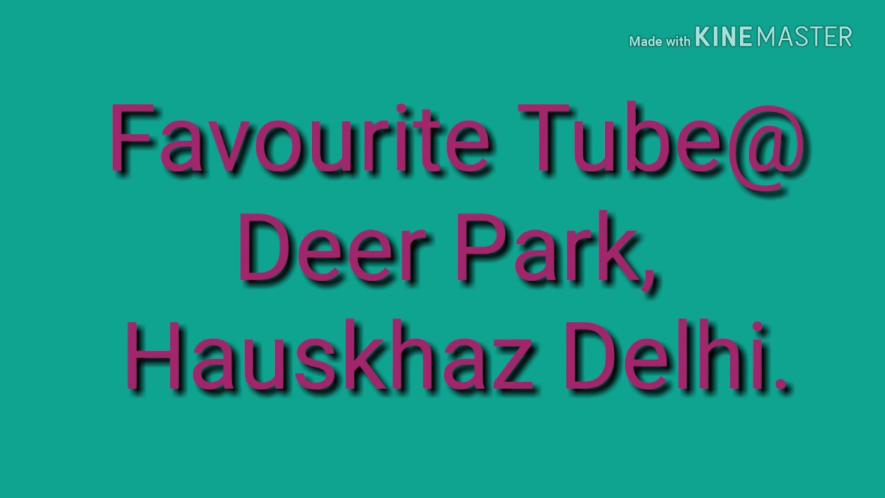 Animal Deer Family Deer Park Hauskhaz Delhi YouTube animal-deer-family-deer-park-hauskhaz-delhi-youtube