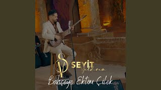 Bahçeye Ektim Çilek
