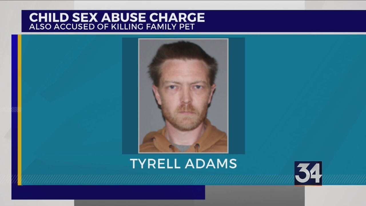 Otsego County man accused of child sex abuse, animal cruelty - YouTube