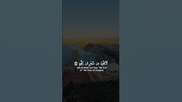 تلاوة تريح القلب _ قرآن كريم   #قرآن       #اكسبلور #tiktok #لايك #تيك_توك