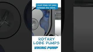 This is how rotary lobe pumps work