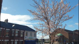 Northern Ireland 4 seasons in one day weather in Springtime