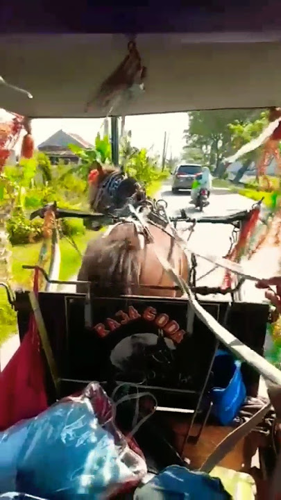 suara MERDU Lonceng Kuda #shorts #kudadelman #kudasandel