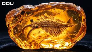 The Most Bizarre Creatures Preserved in the Burgess Shale | Prehistoric Oceans