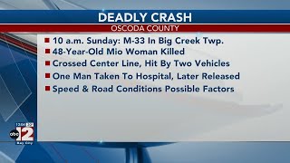 Mio woman dies in a crash Sunday morning along M-33