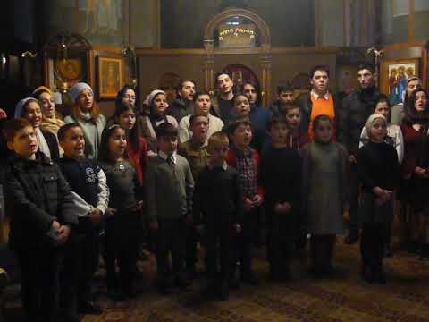 ალილო / Alilo