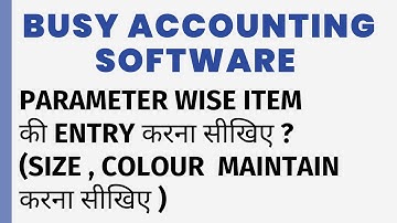 PARAMETER WISE DETAILS IN BUSY SOFTWARE