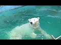 【必見】天王寺動物園１日観光モデルコース！