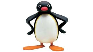 NOOT NOOT