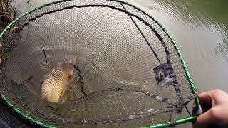 Float fishing with maggots Dec 2020