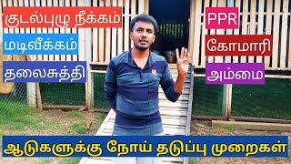 ஆடுகளுக்கான நோய் தடுப்பு முறைகள் - Disease management for Goats