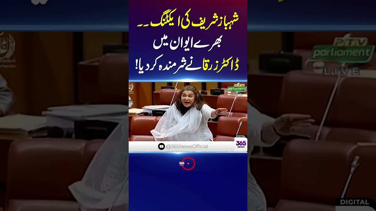 PTI's Dr Zarqa Blasting Speech In Senate | 365 plus