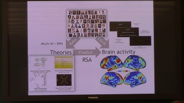 [MIND 2018] Mark Thornton: Neural Representation of Social Knowledge
